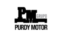 Grupo Purdy Motor